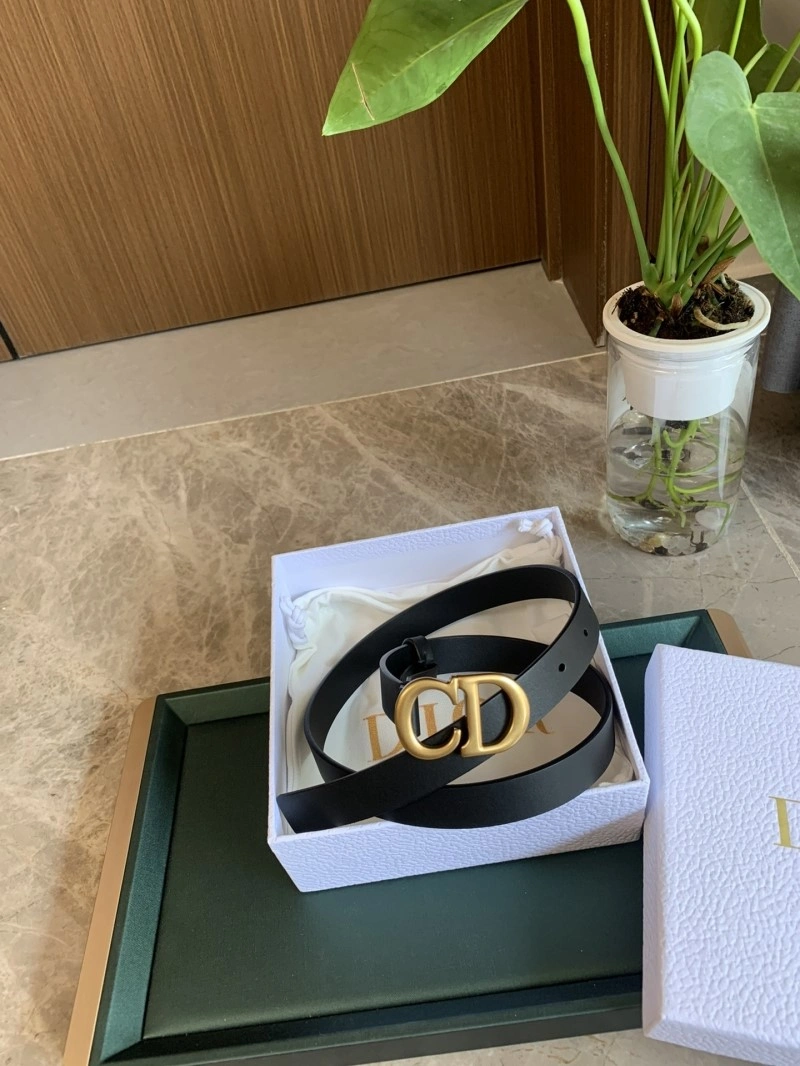 Christian Dior Belts Comfortable 284968
