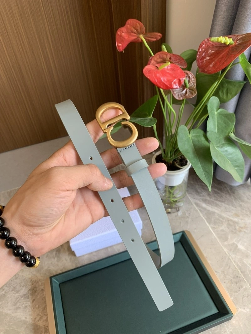 Christian Dior Belts EasyMatch 284967