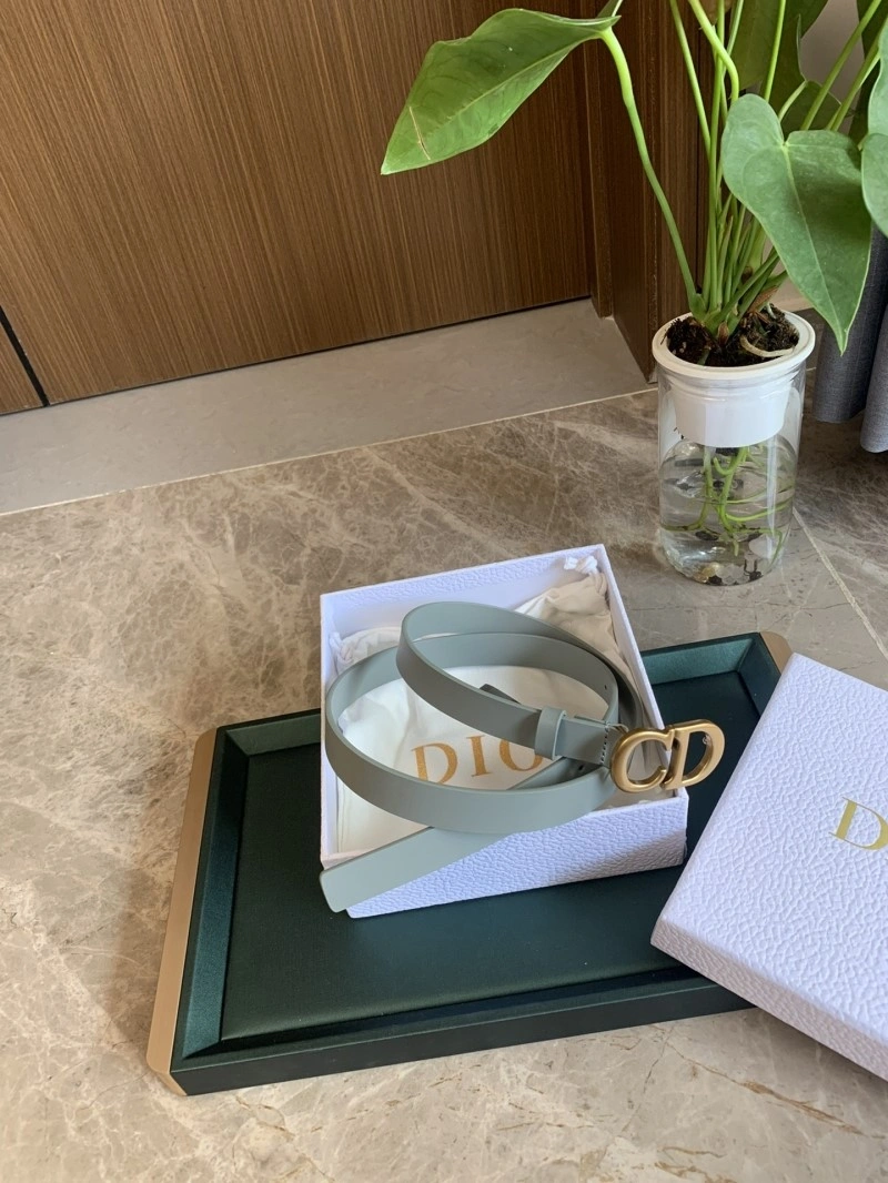Christian Dior Belts EasyMatch 284967