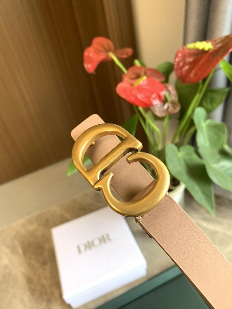 TechFriendly Christian Dior Belts 284986