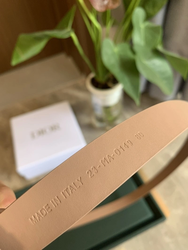 TechFriendly Christian Dior Belts 284986