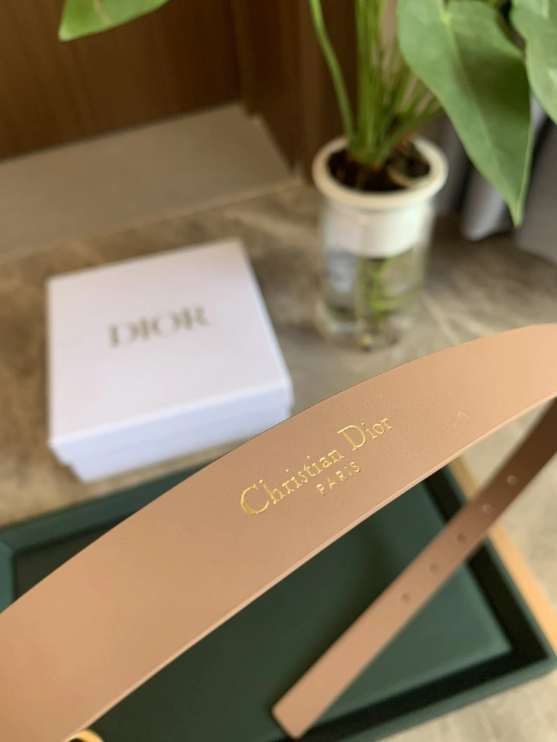 TechFriendly Christian Dior Belts 284986