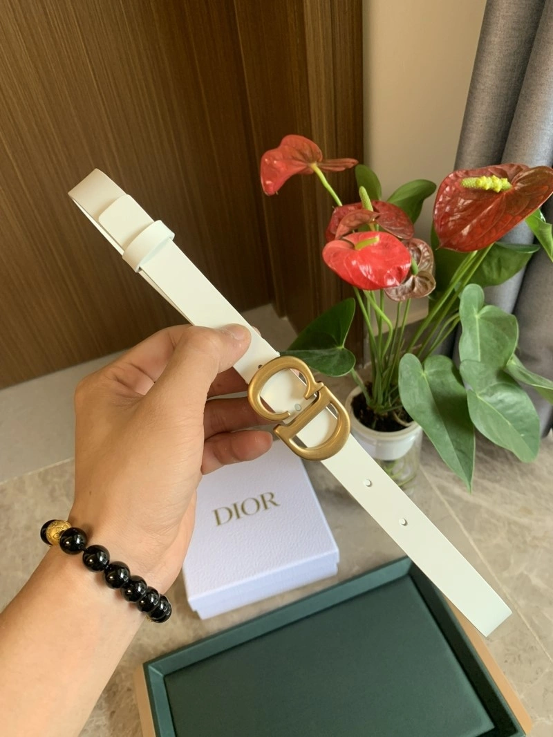 Christian Dior Belts Functional 284971