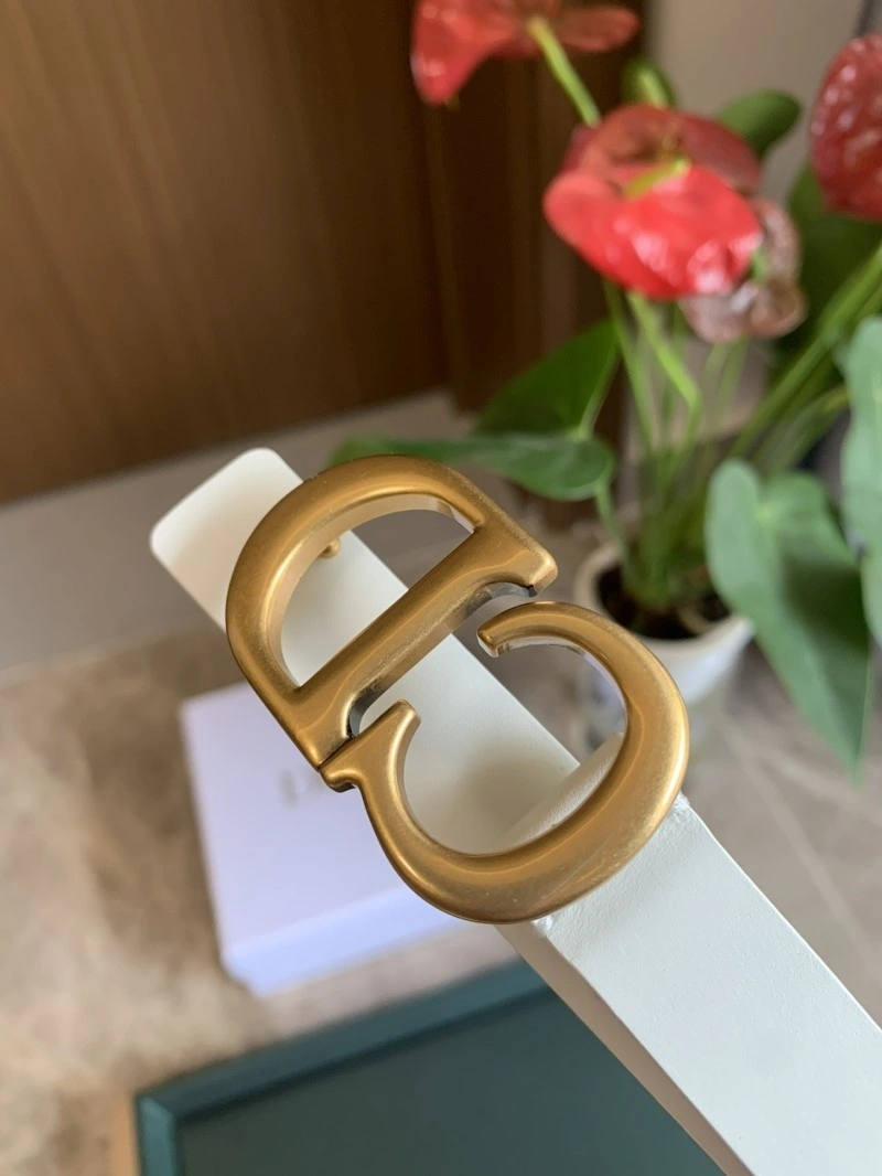 Christian Dior Belts Functional 284971