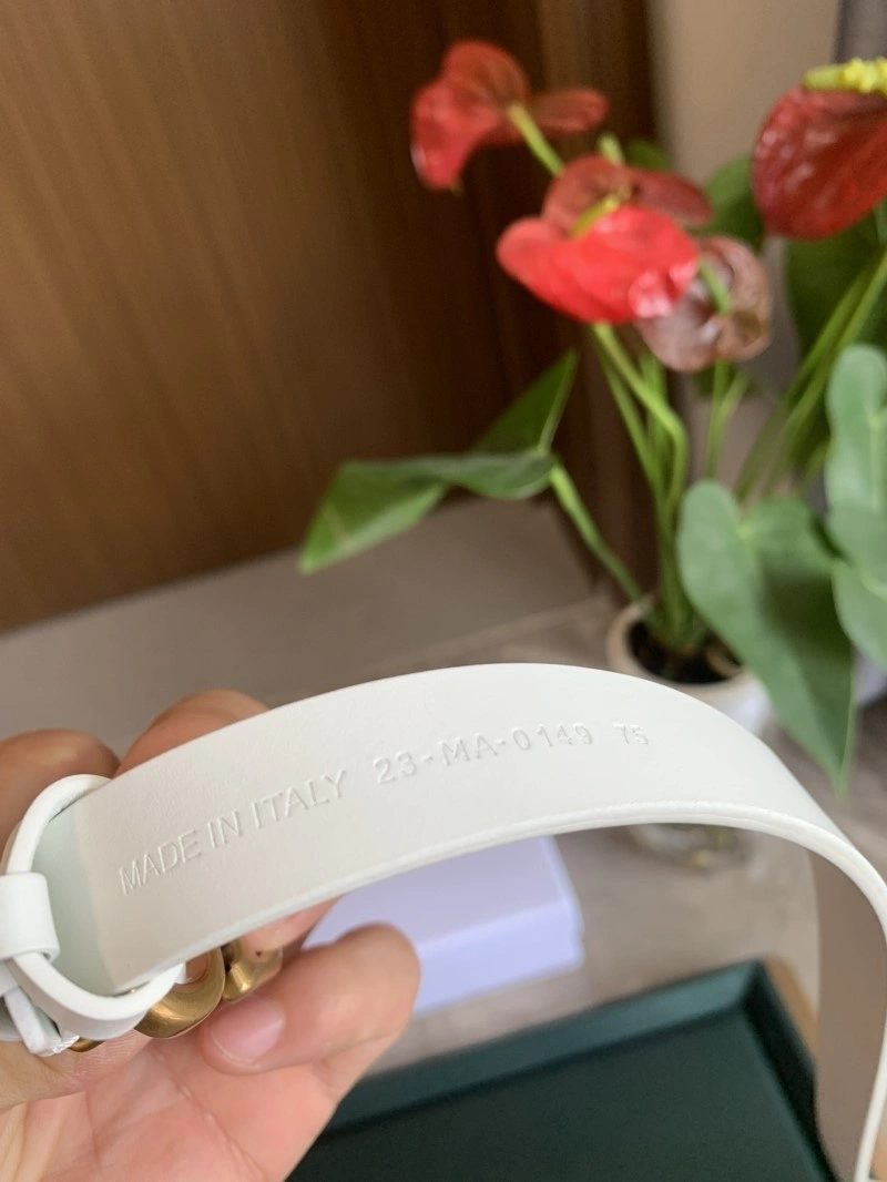Christian Dior Belts Functional 284971