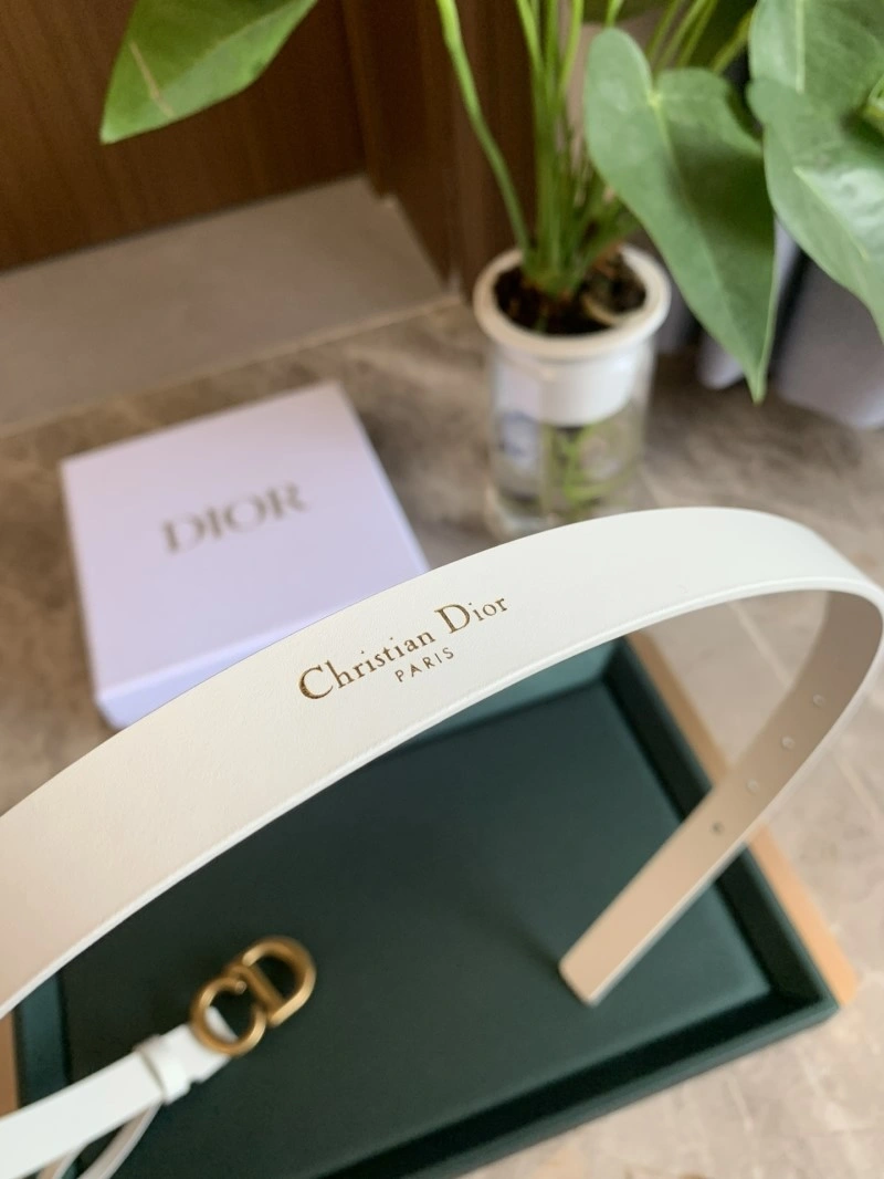 Christian Dior Belts Functional 284971