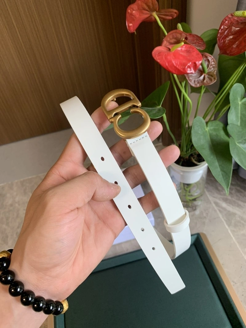 Christian Dior Belts Functional 284971