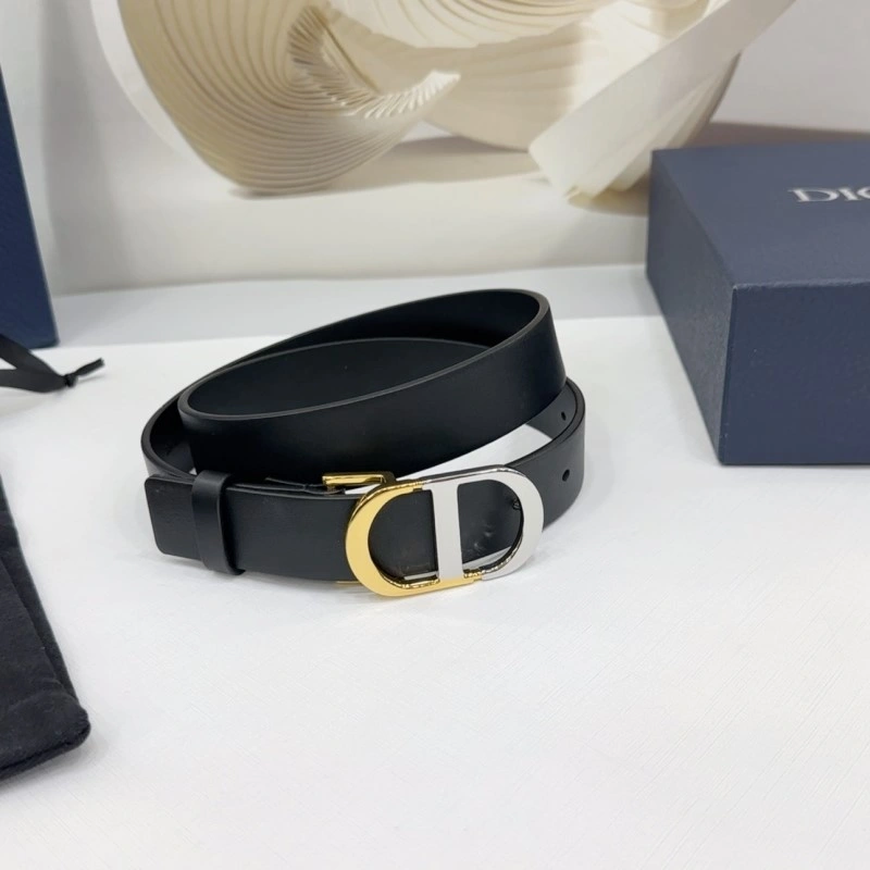 Christian Dior Belts StreetReady 284985