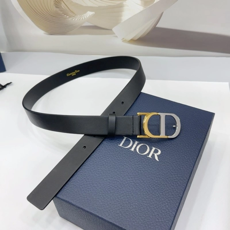 Christian Dior Belts StreetReady 284985