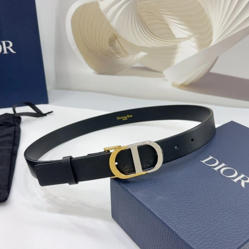 Christian Dior Belts StreetReady 284985