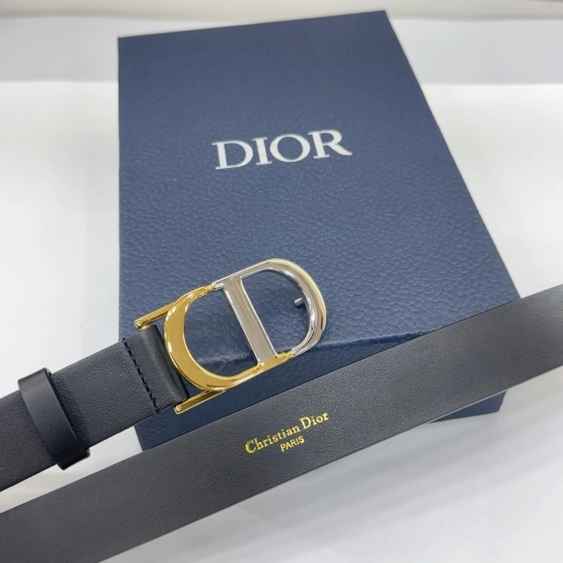 Christian Dior Belts StreetReady 284985
