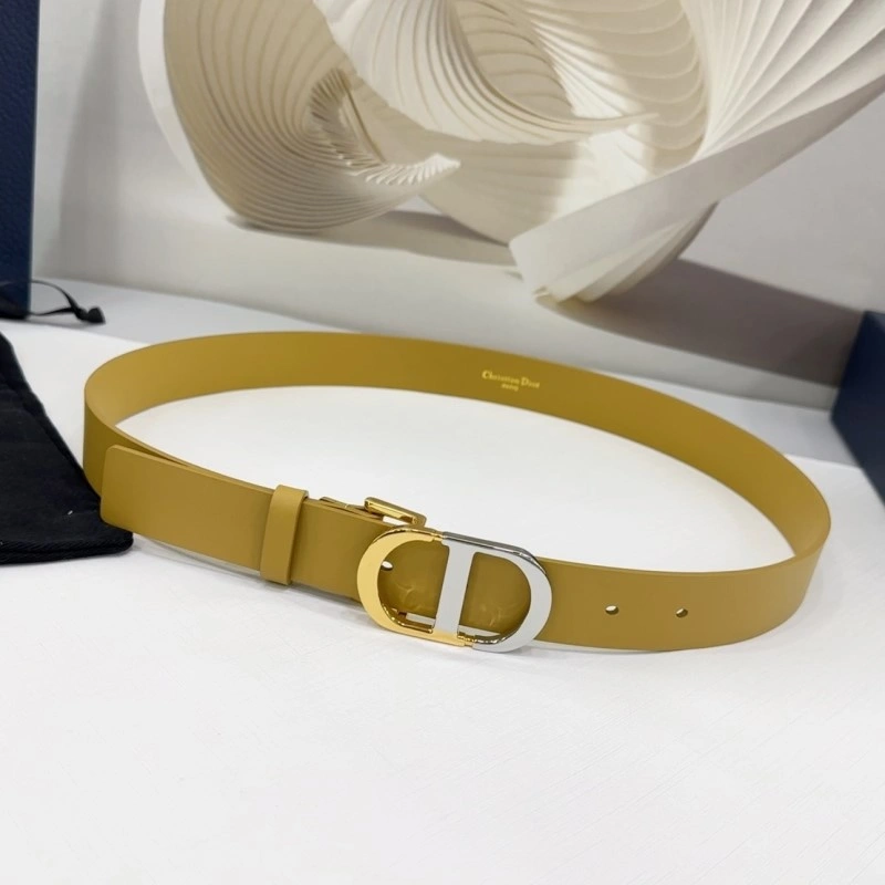 Christian Dior Belts StreetReady 284992