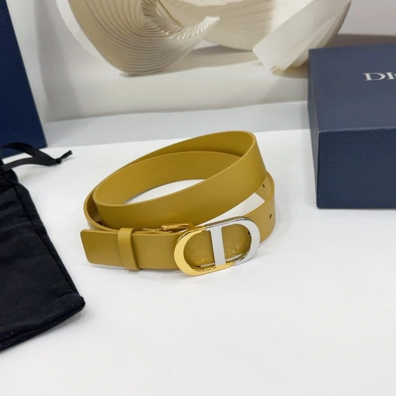 Christian Dior Belts StreetReady 284992