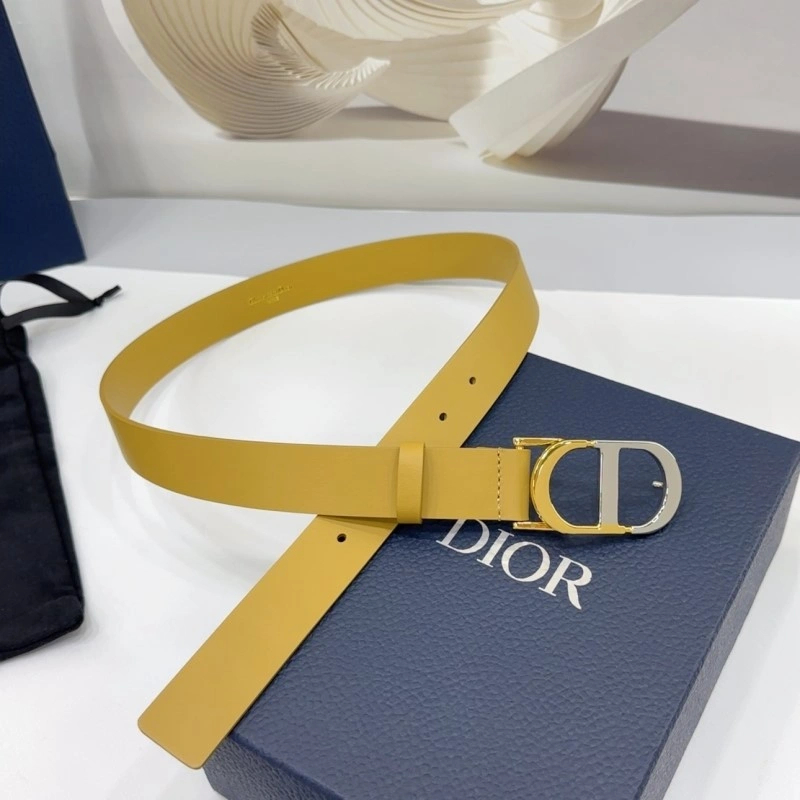 Christian Dior Belts StreetReady 284992
