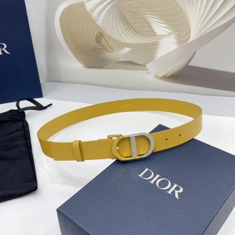Christian Dior Belts StreetReady 284992