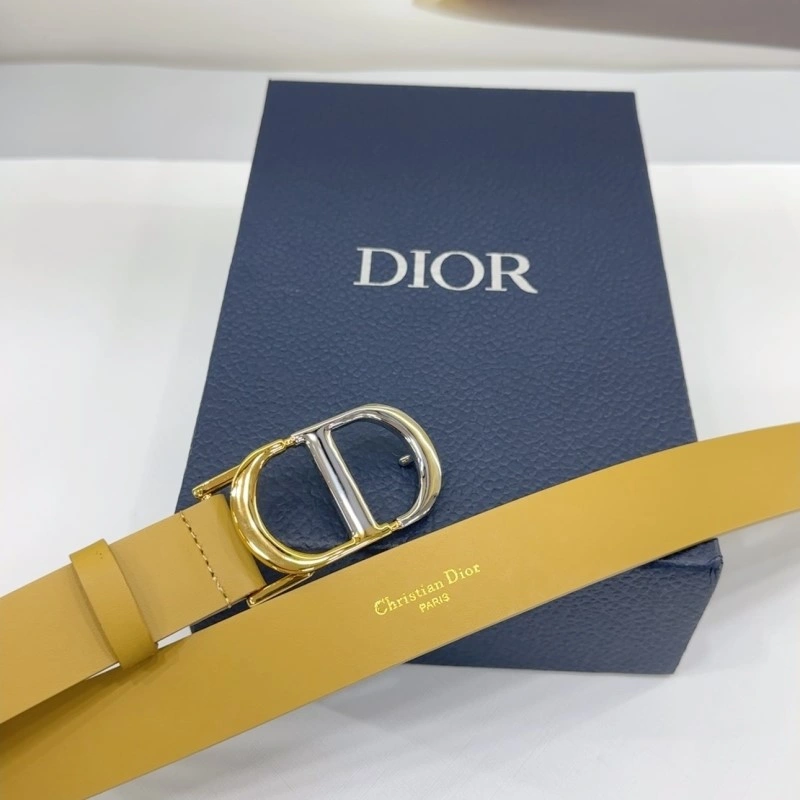 Christian Dior Belts StreetReady 284992