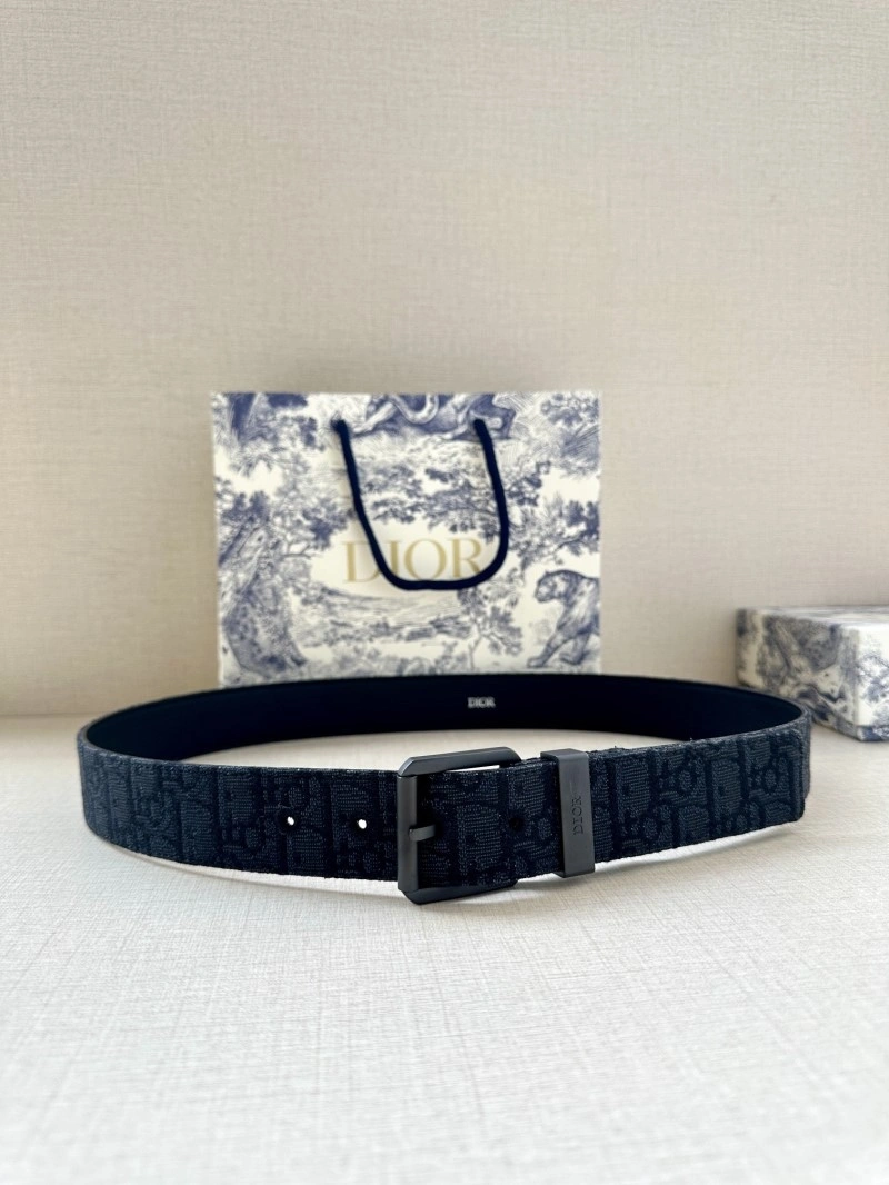 Christian Dior Belts WrinkleFree 284940
