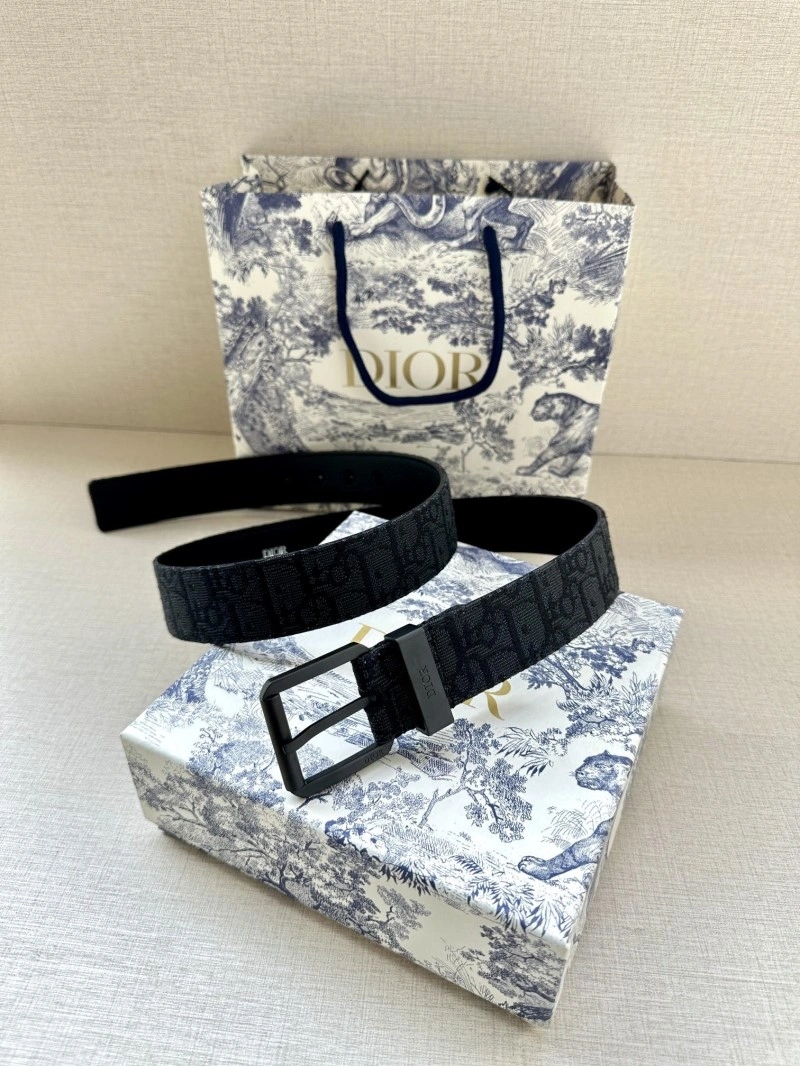 Christian Dior Belts WrinkleFree 284940