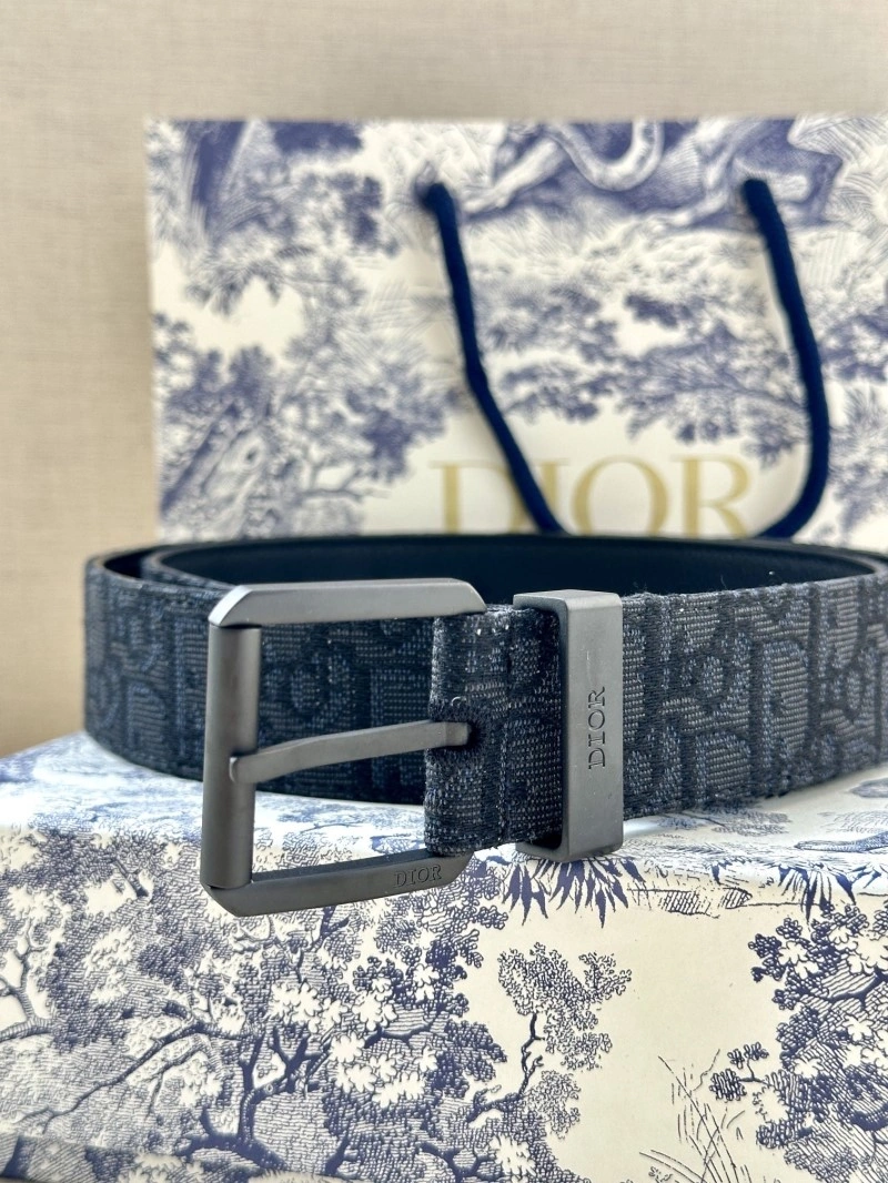 Christian Dior Belts WrinkleFree 284940