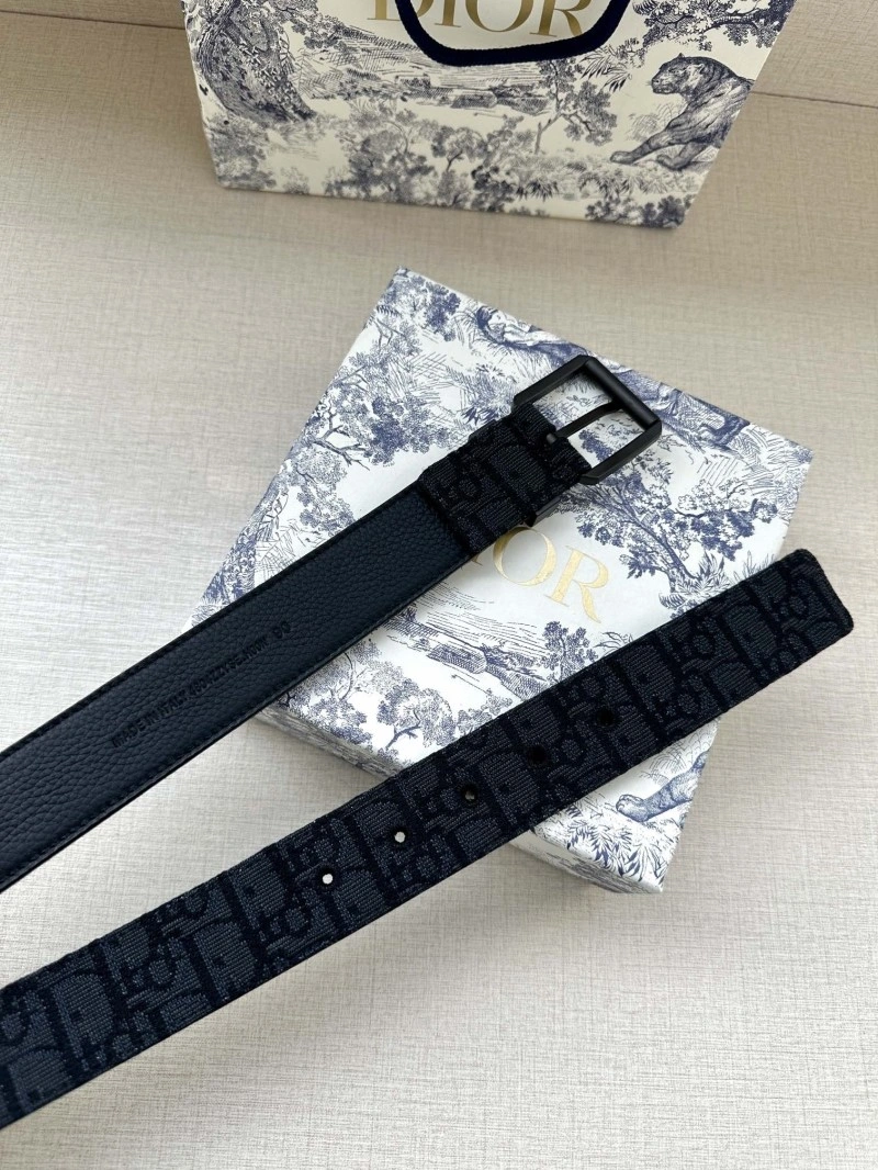 Christian Dior Belts WrinkleFree 284940