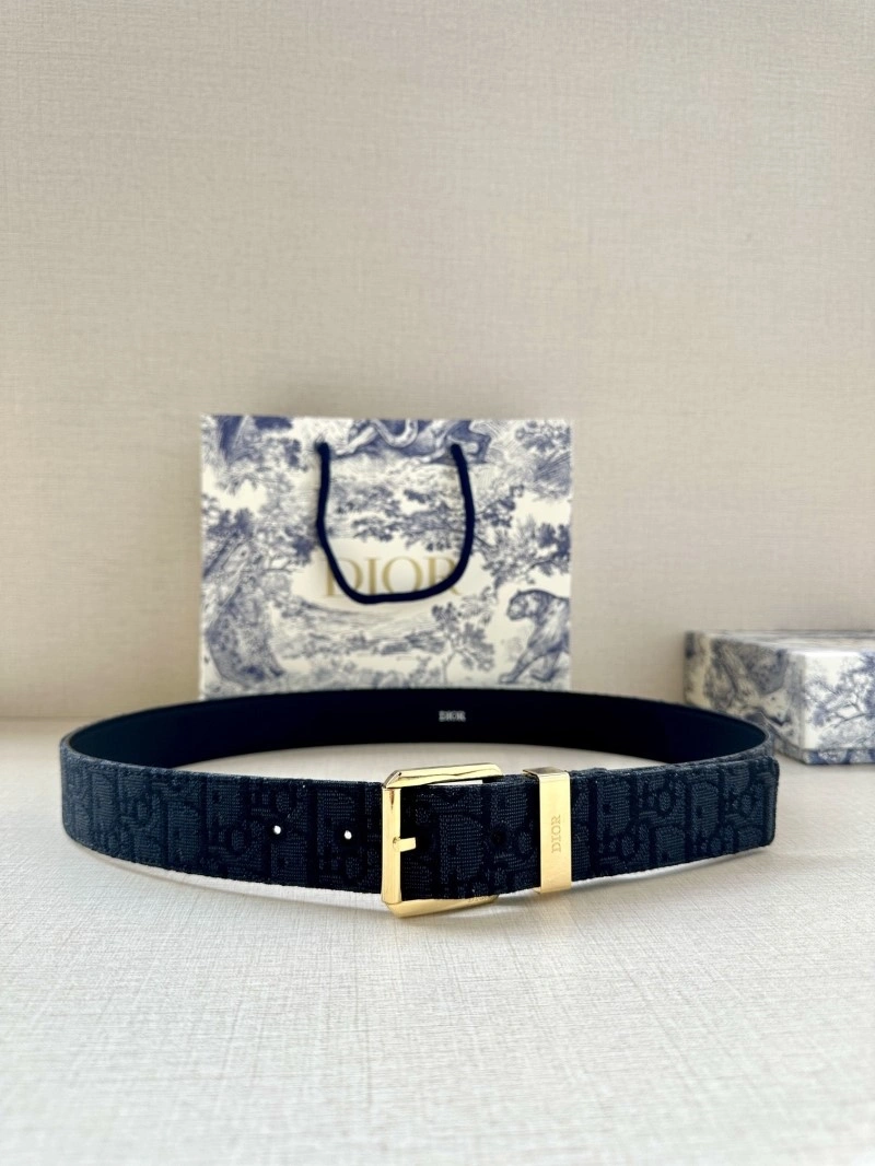 Christian Dior Belts Resilient 284937