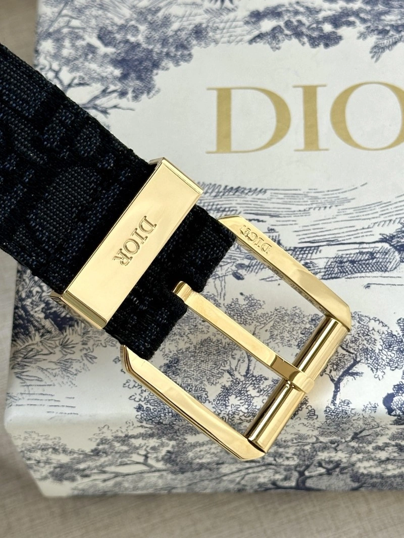 Christian Dior Belts Resilient 284937
