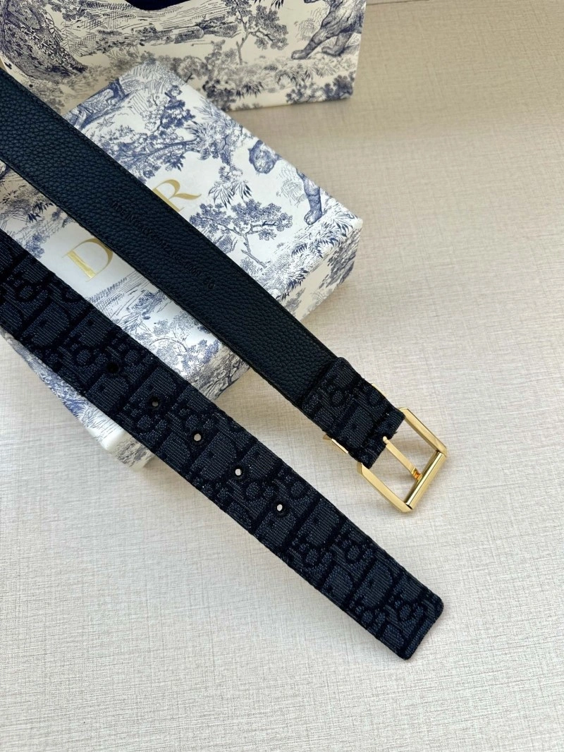 Christian Dior Belts Resilient 284937