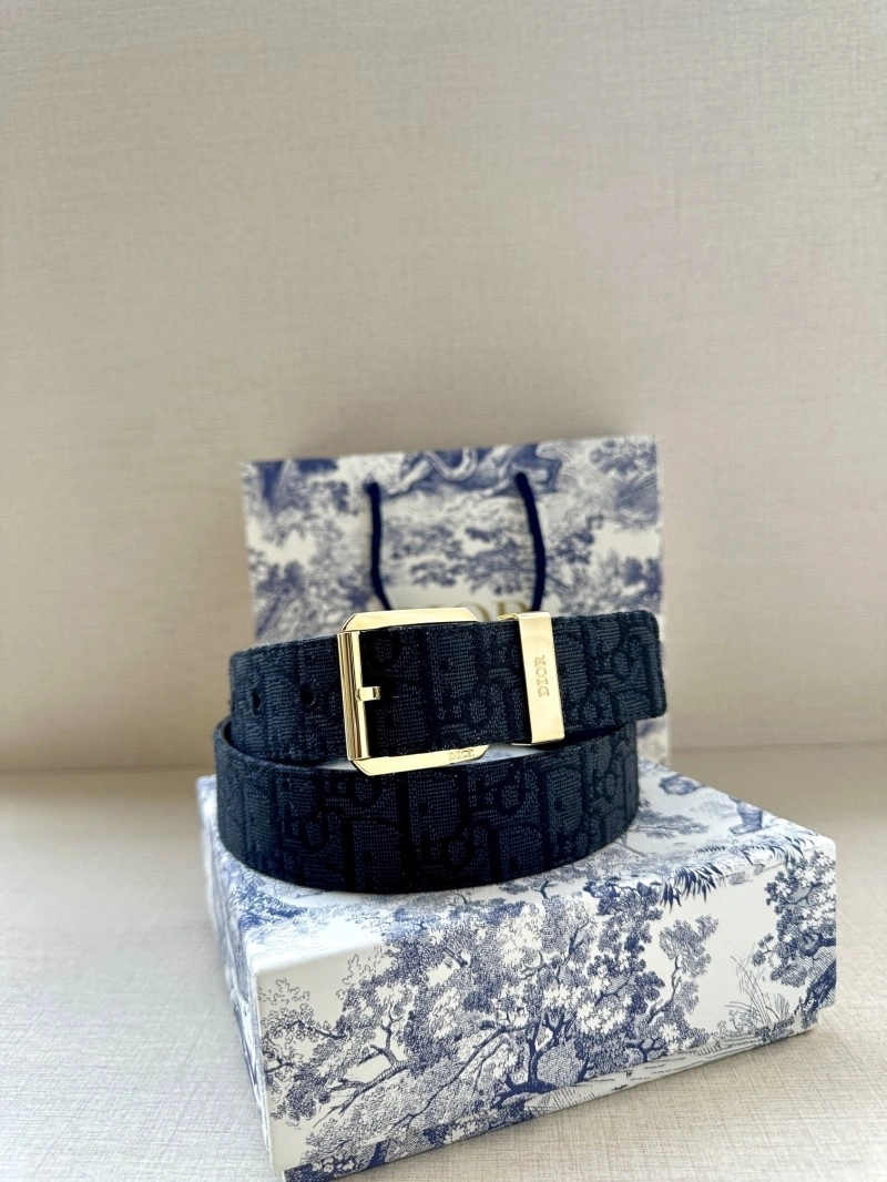 Christian Dior Belts Resilient 284937
