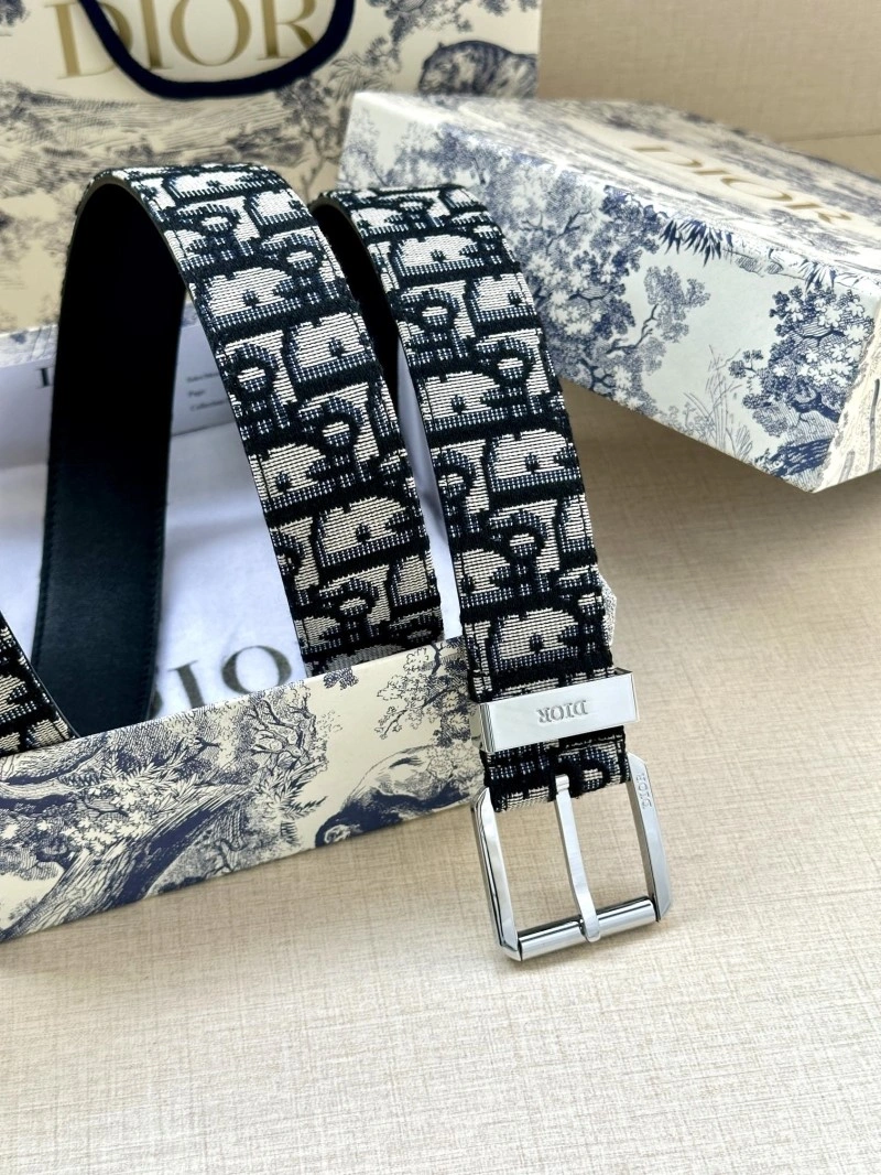 WaterResistant Christian Dior Belts 284944