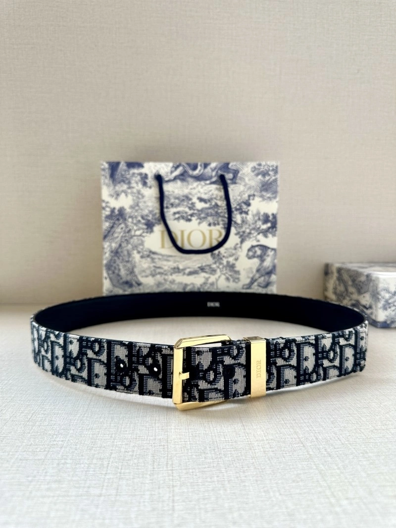 Christian Dior Belts WeatherProof 284939