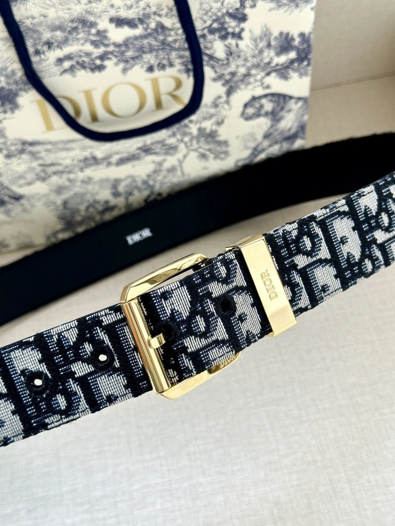 Christian Dior Belts WeatherProof 284939