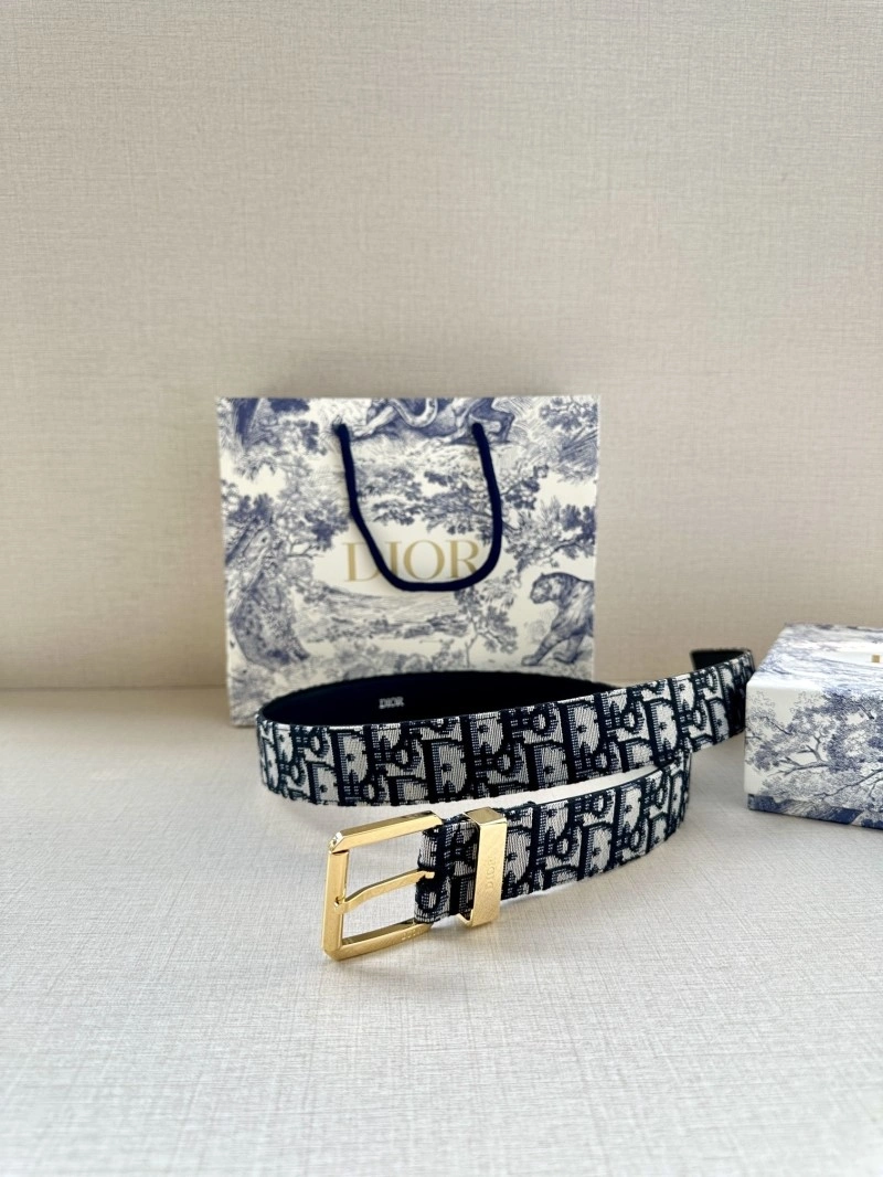 Christian Dior Belts WeatherProof 284939