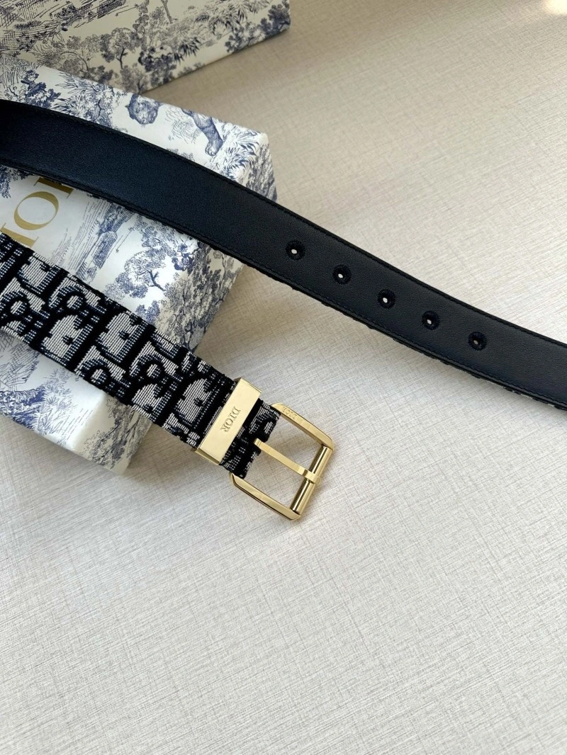 Christian Dior Belts WeatherProof 284939