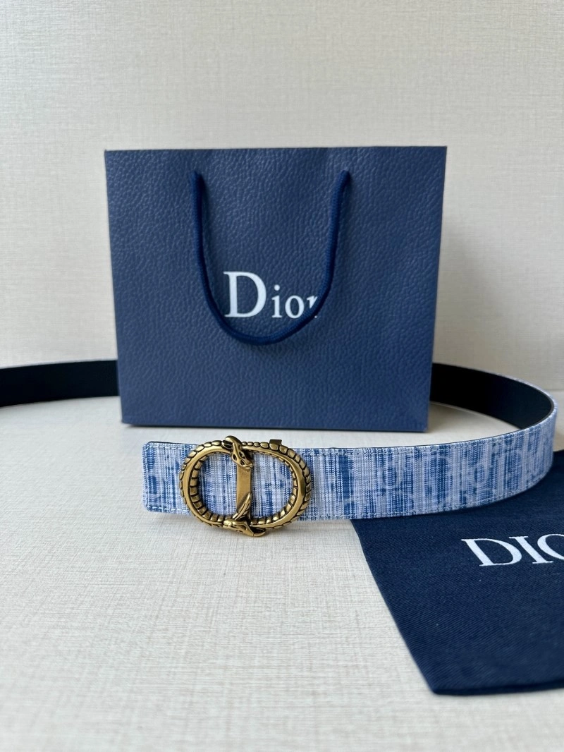 Practical Christian Dior Belts 284953