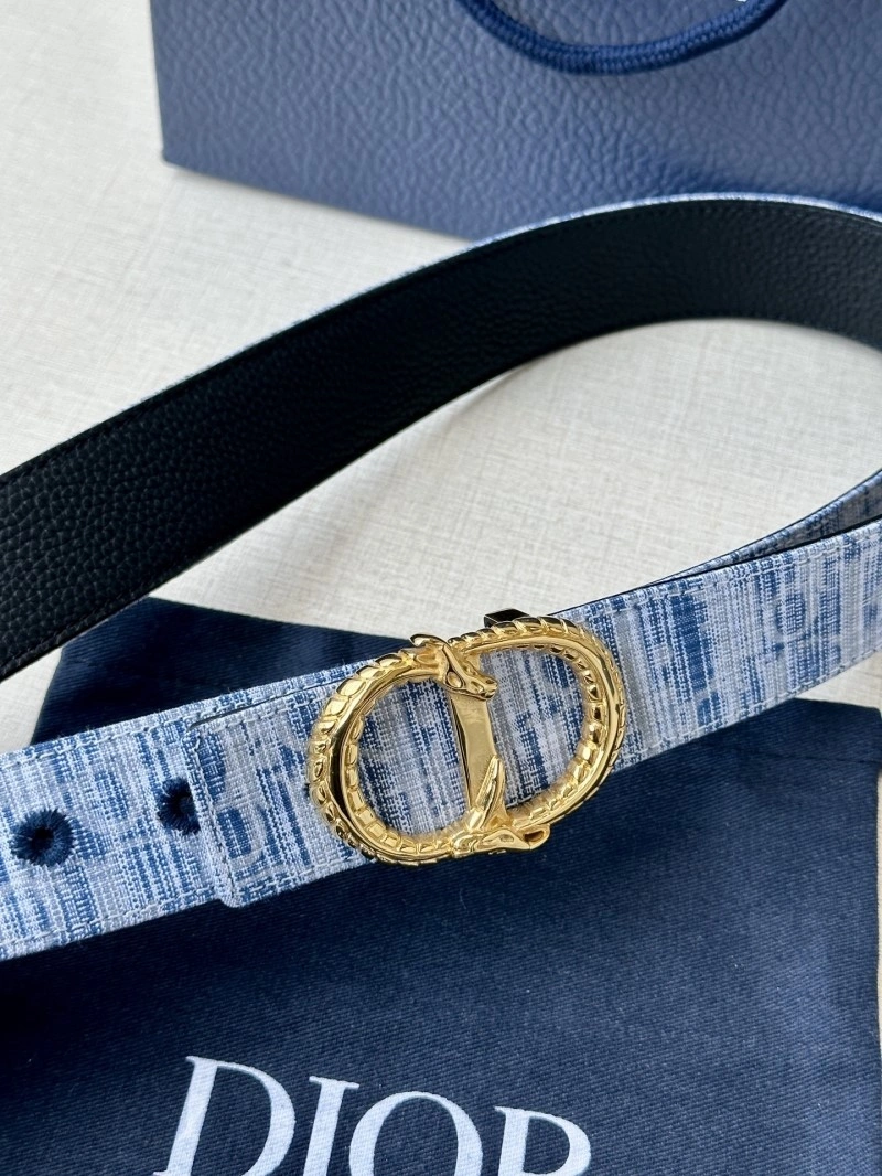 Christian Dior Belts DailyWear 284957