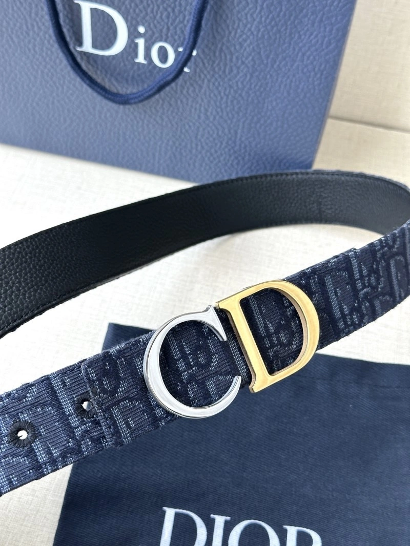 DailyWear Christian Dior Belts 284936