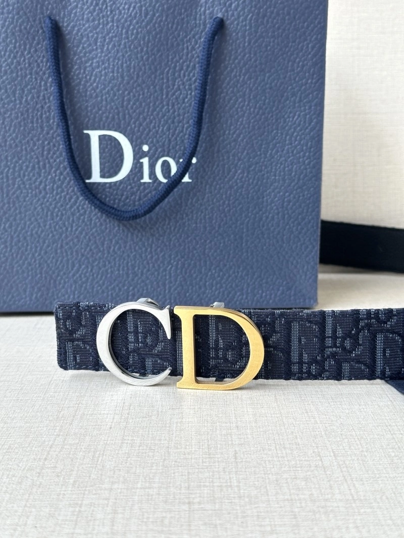 DailyWear Christian Dior Belts 284936