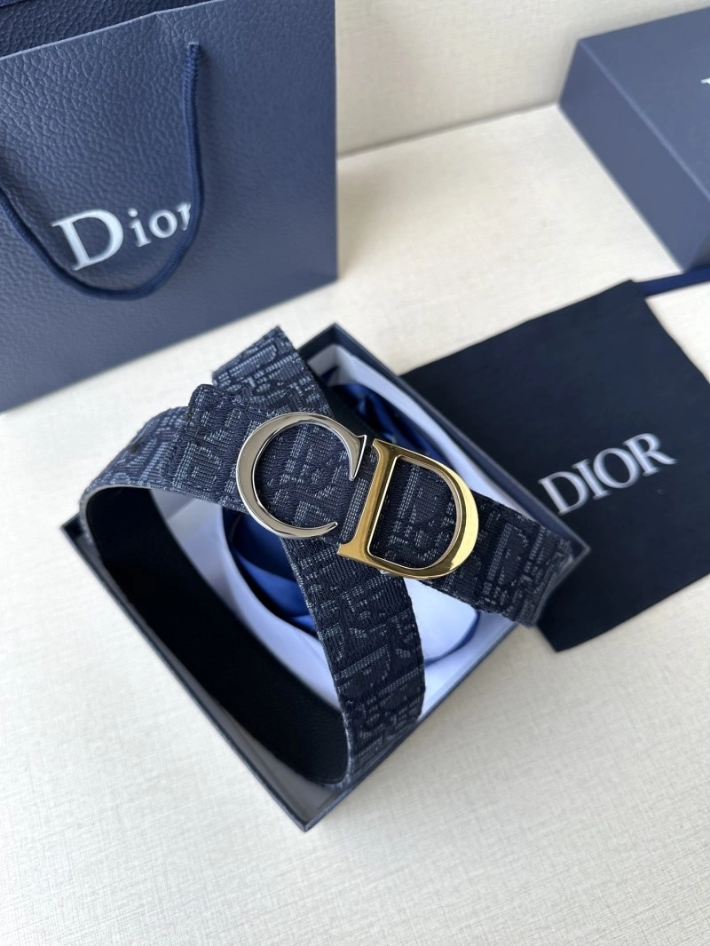 DailyWear Christian Dior Belts 284936