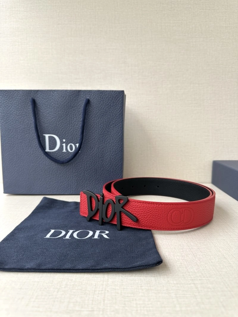 Cozy Christian Dior Belts 284901