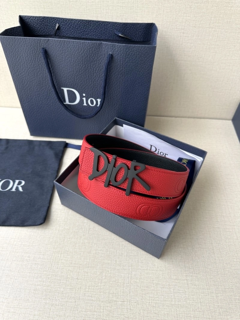 Cozy Christian Dior Belts 284901
