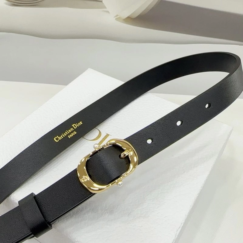 Trendsetting Christian Dior Belts 284915