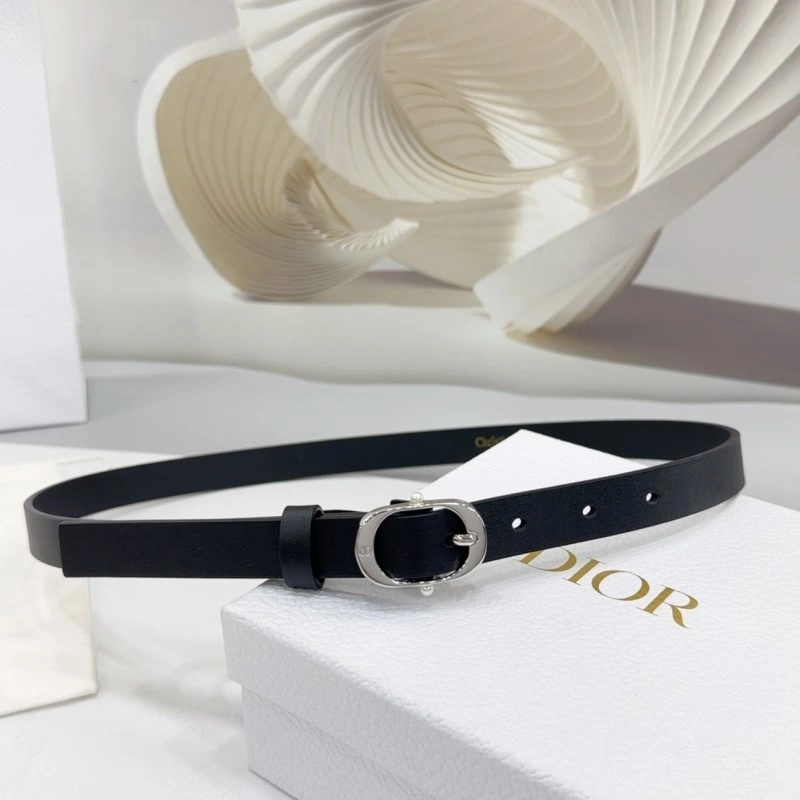 Christian Dior Belts Packable 284896