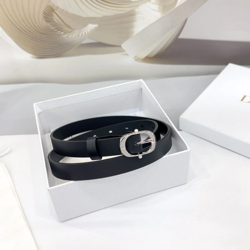Christian Dior Belts Packable 284896