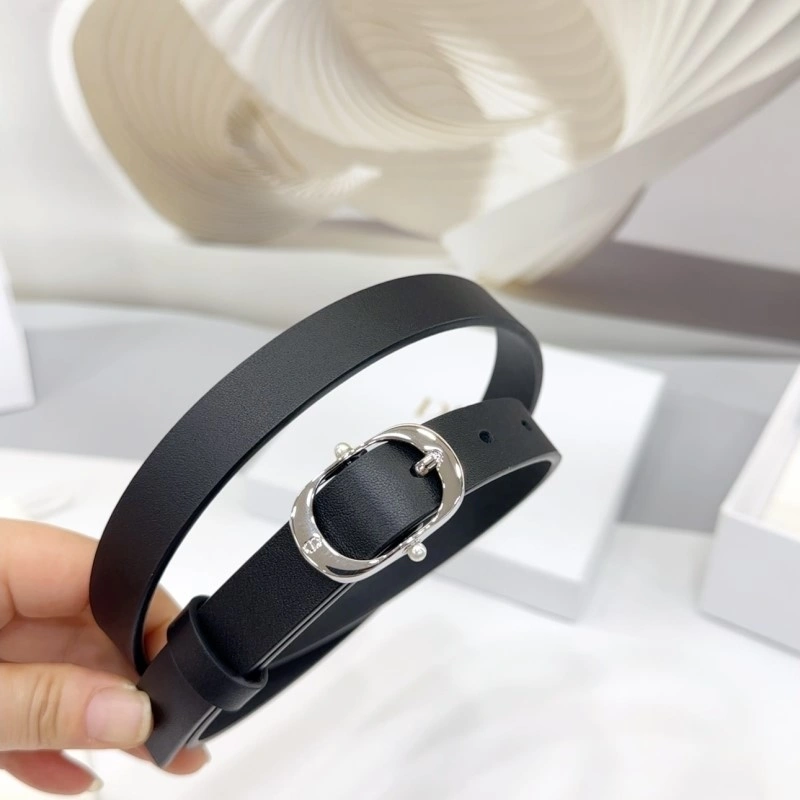 Christian Dior Belts Packable 284896