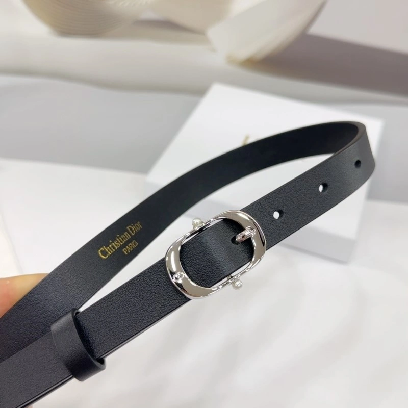 Christian Dior Belts Packable 284896