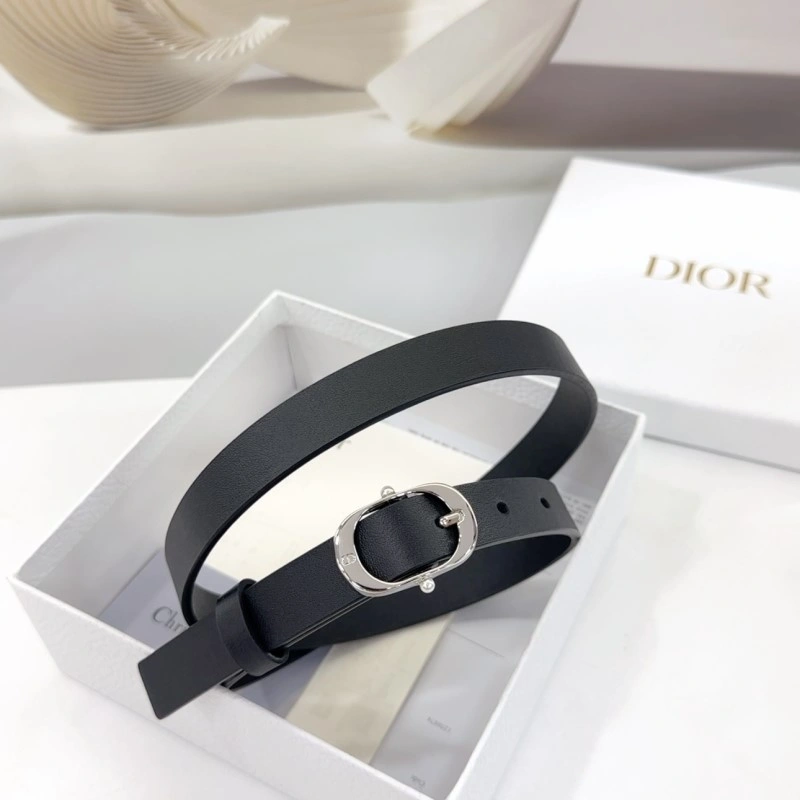 Christian Dior Belts Packable 284896