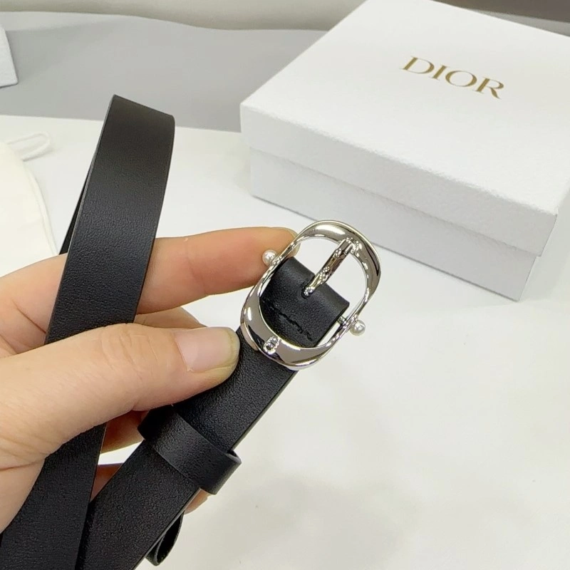 Christian Dior Belts Packable 284896