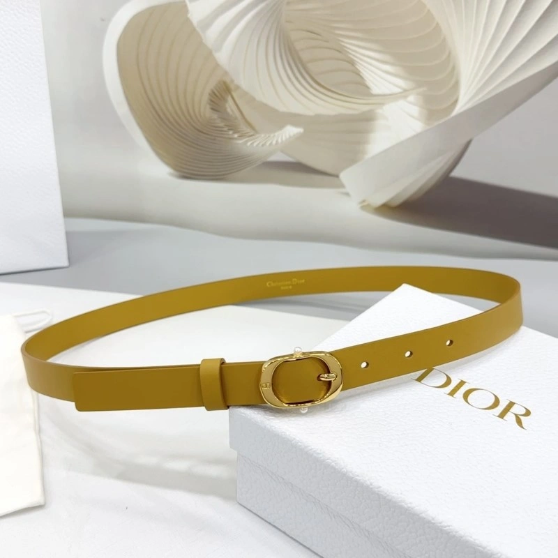Christian Dior Belts Cozy 284908