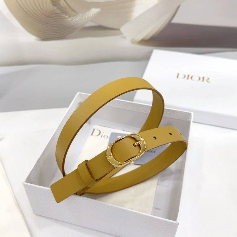 Christian Dior Belts Cozy 284908