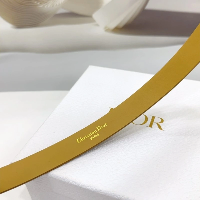 Christian Dior Belts Cozy 284908